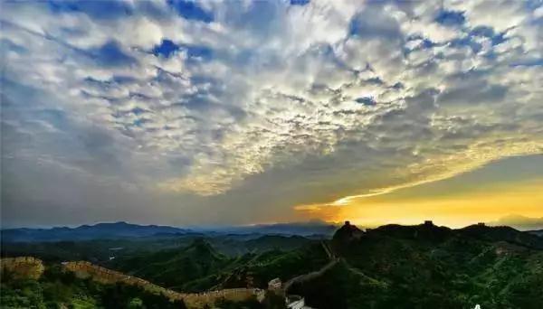 苹果骑士最新,跃上成功之巅的冒险旅程