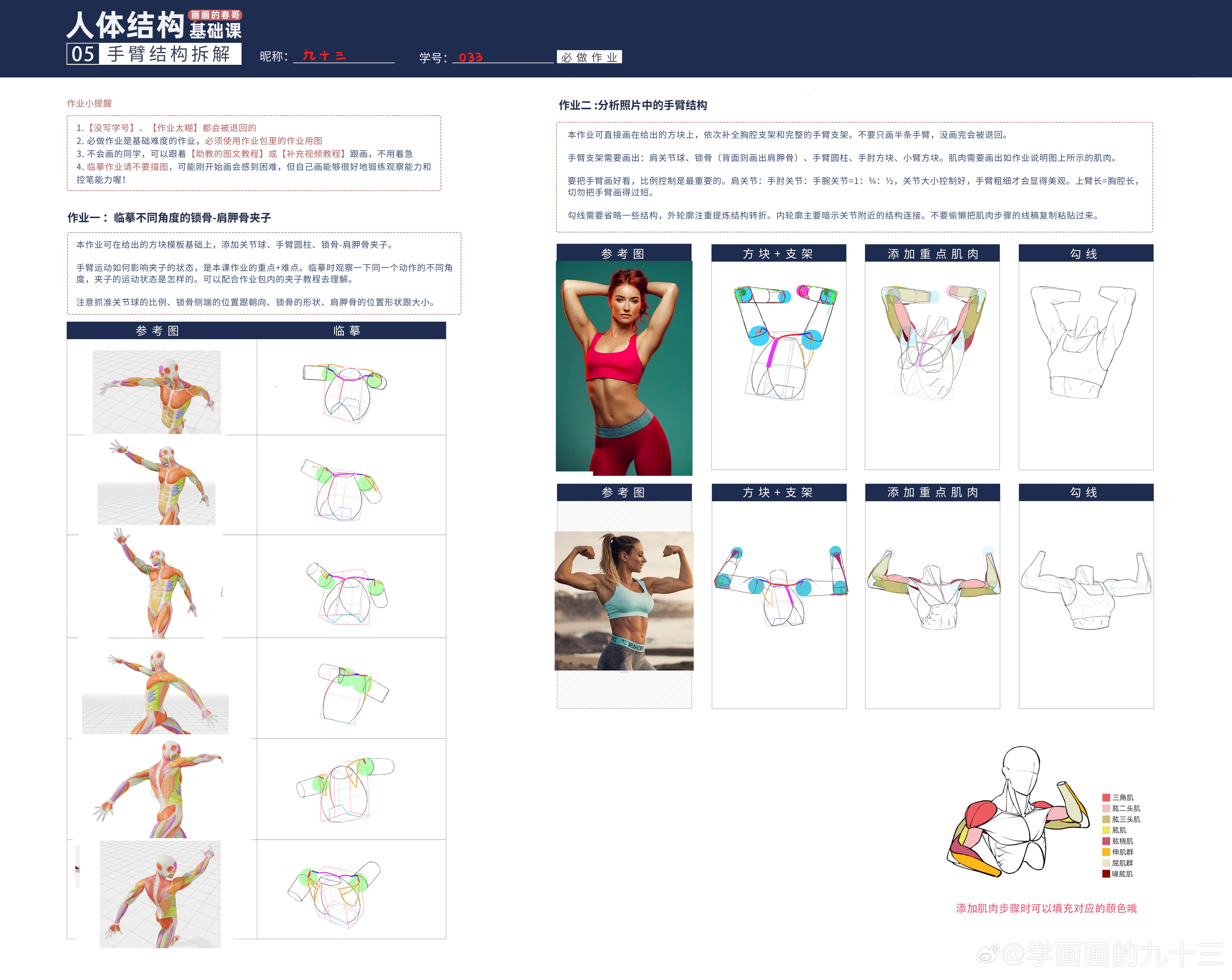 最新国模人体制作指南,从初学者到进阶用户的制作步骤详解