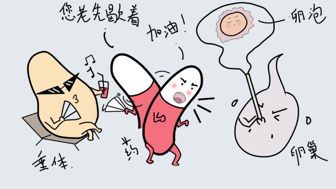 精子窝最新地址揭秘,一段温馨有趣的日常故事开启!