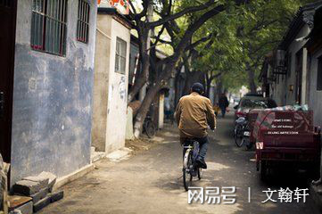 小巷深处的独特风情,乱欲利最新动态