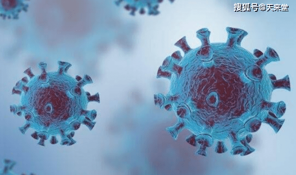 山亭最新招聘信息,探索自然美景之旅,寻找内心平静之旅的职场机会