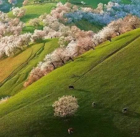 新凤鸣探秘之旅,自然美景中寻找内心平和与宁静的启示