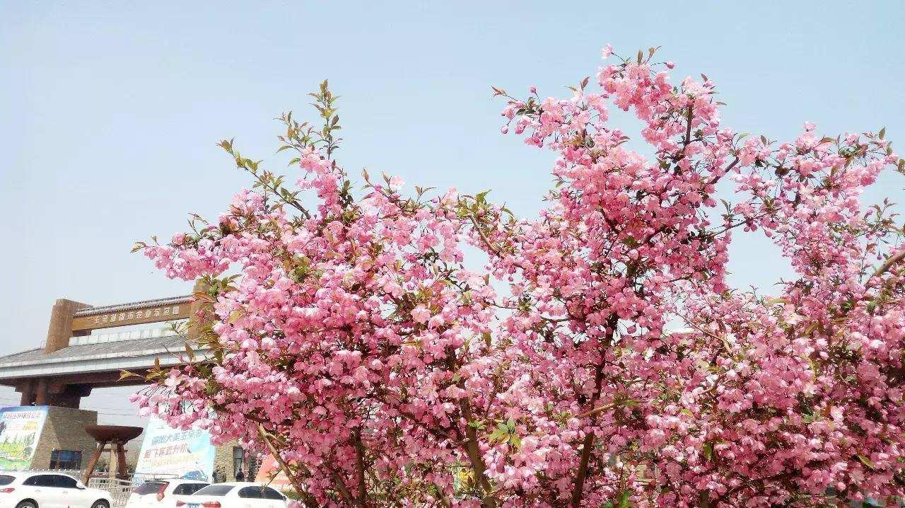 博山最新招聘,工作与生活交织的温馨之旅