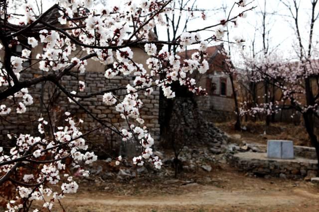 博山最新招聘,工作与生活交织的温馨之旅