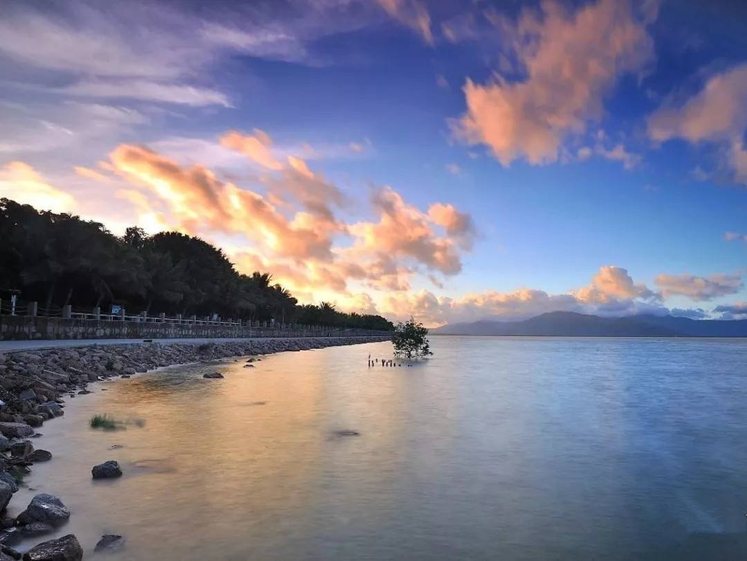 深圳大梅沙最新消息,夏日记忆里的温馨瞬间