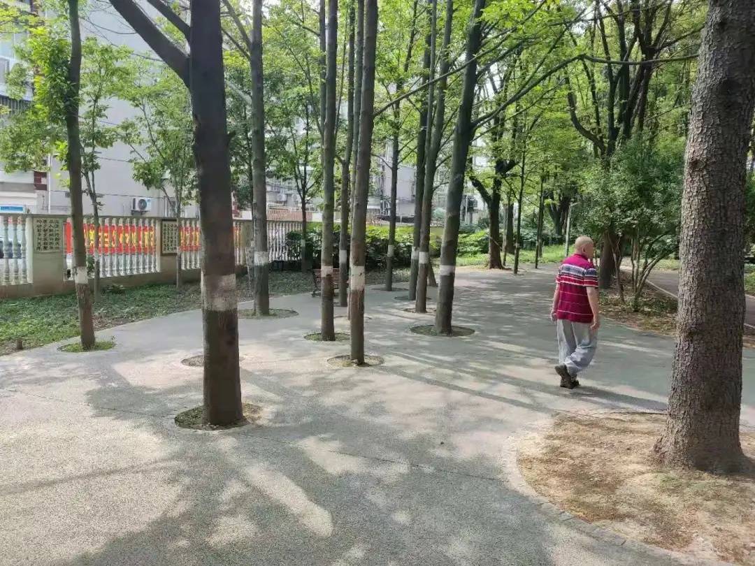 北京今日疫情最新情况及科技赋能下的健康新生活守护