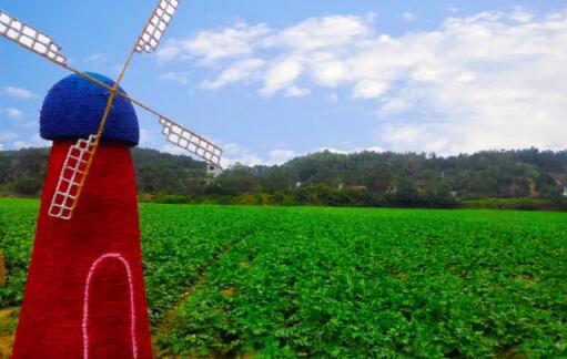凤台县房价最新动态,与自然美景的旅行邂逅,探寻内心平和与宁静的居所