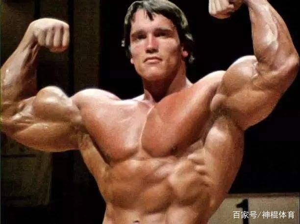 施瓦辛格最新电影概览及评价分析