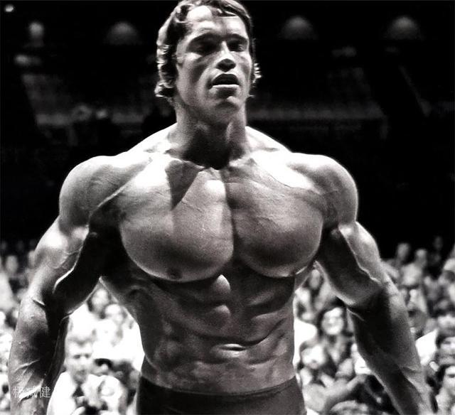 施瓦辛格最新电影概览及评价分析