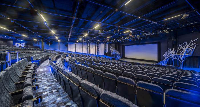 最新午夜片的深度探索,热门推荐、解析与展望