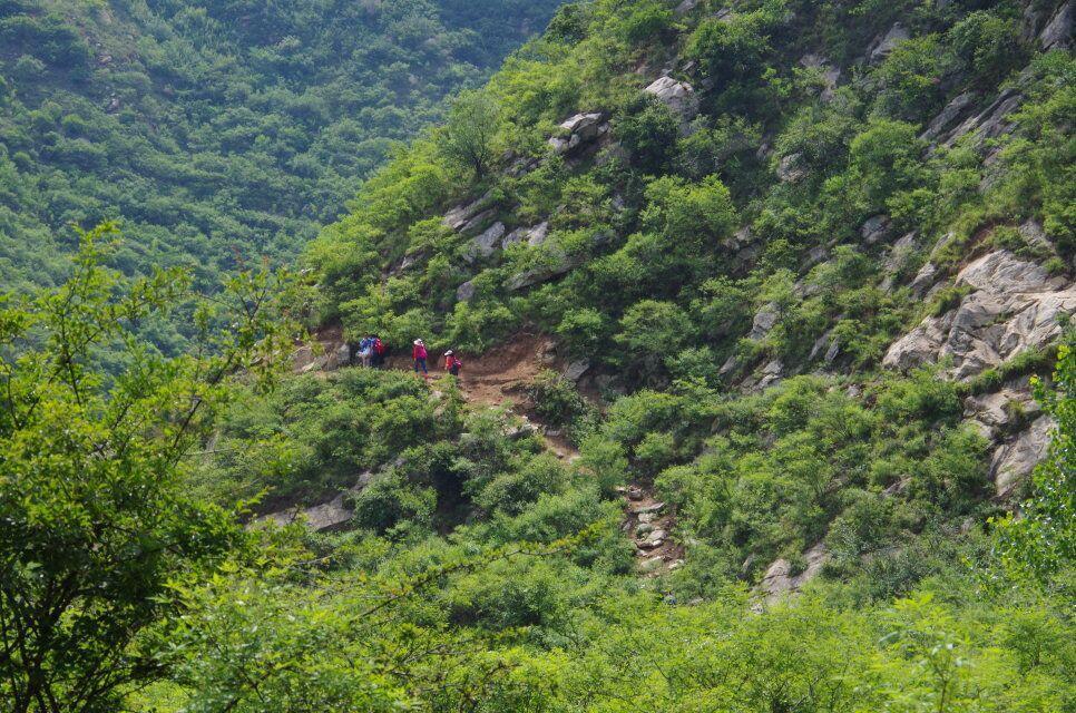 河南宜阳交通事故背后的故事,自然美景之旅的启示