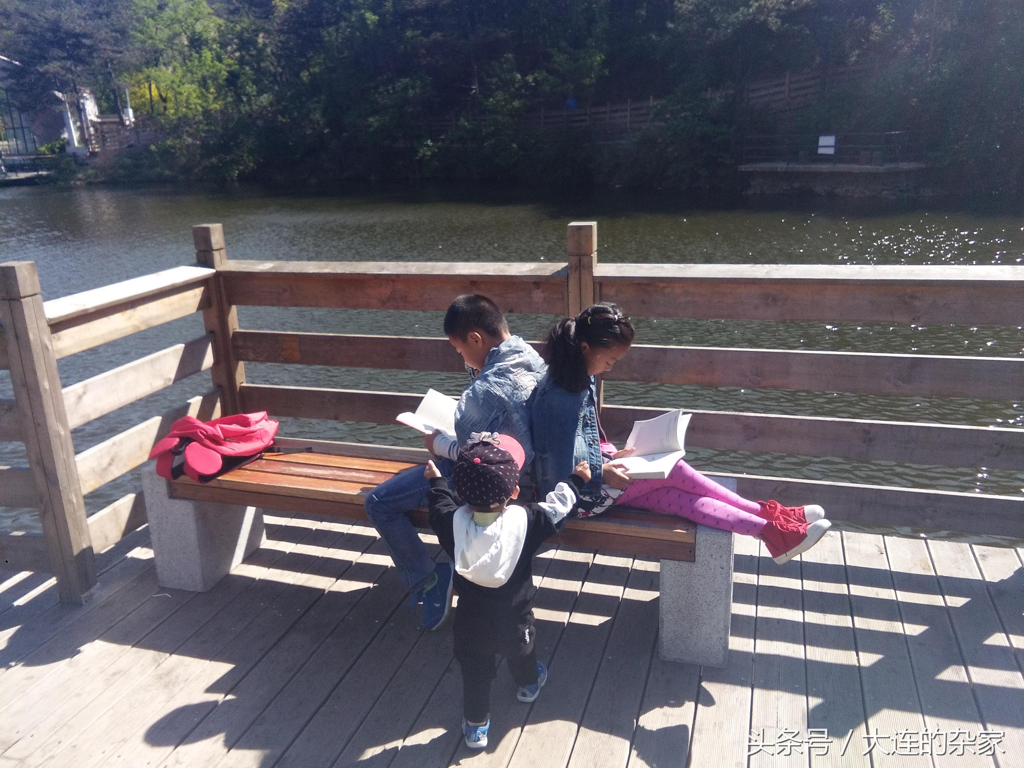大连白云雁水最新动态,雁水边的快乐时光