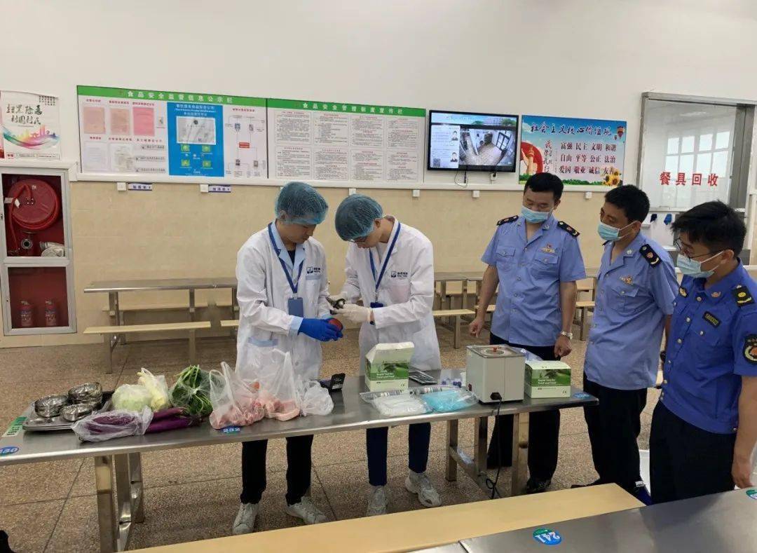 美男十二宫最新番外篇章,任务完成指南与技能学习教程