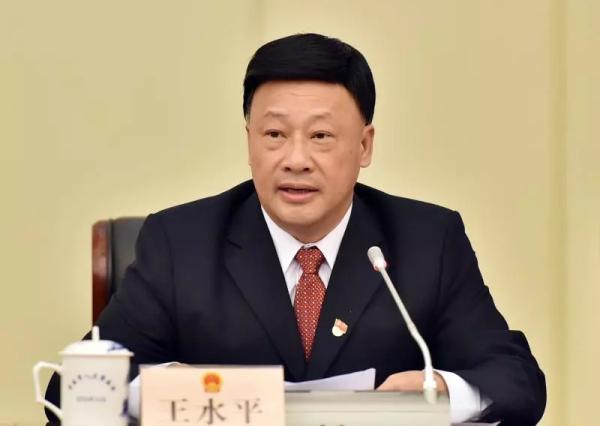 新沂市副市长最新名单全景概览