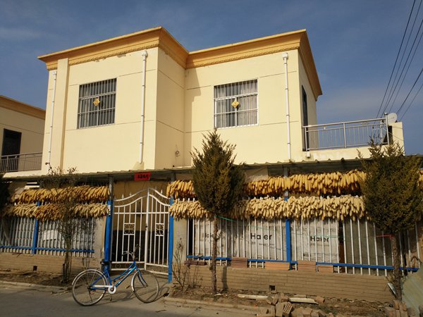 宁县和盛镇最新消息概览,最新动态与指南