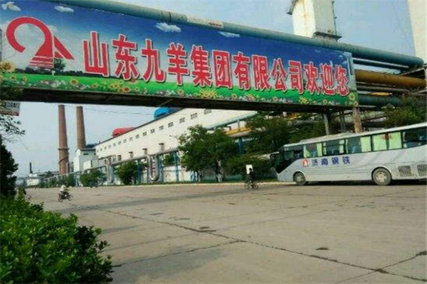 山东九羊公司科技前沿产品介绍及最新消息速递
